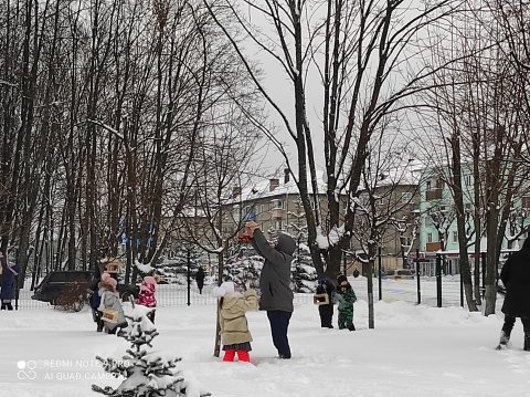 Покормите птиц зимой