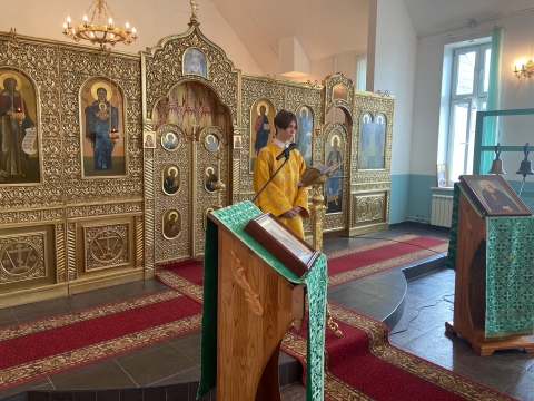 ВХОД ГОСПОДЕНЬ В ИЕРУСАЛИМ