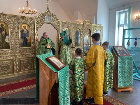 ВХОД ГОСПОДЕНЬ В ИЕРУСАЛИМ