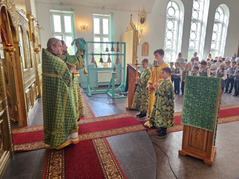 ВХОД ГОСПОДЕНЬ В ИЕРУСАЛИМ
