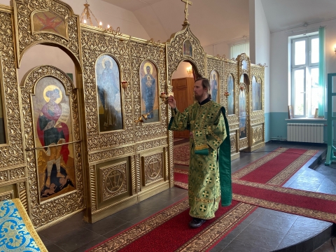 ВХОД ГОСПОДЕНЬ В ИЕРУСАЛИМ