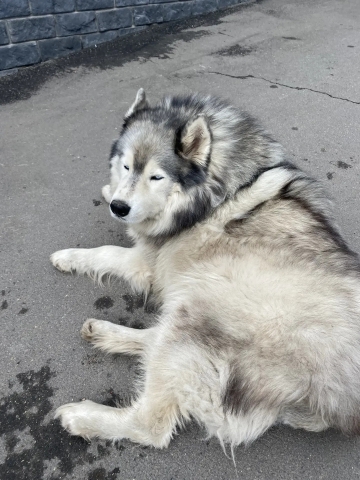 ПОЕЗДКА в АРЗАМАС
